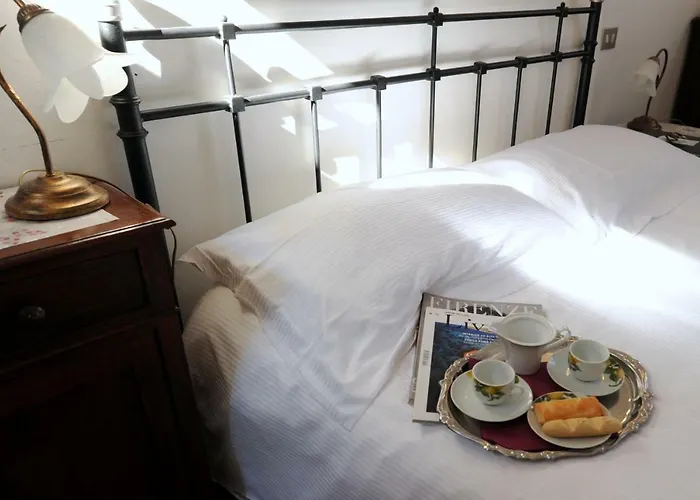 Acacia - Cosmea * フィレンツェ